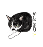 猫のイラストスタンプ。（個別スタンプ：22）