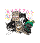 猫のイラストスタンプ。（個別スタンプ：24）