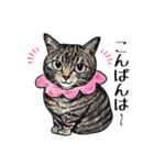 猫のイラストスタンプ。（個別スタンプ：27）