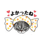 猫のイラストスタンプ。（個別スタンプ：35）