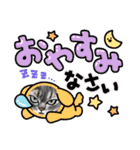 猫のイラストスタンプ。（個別スタンプ：40）