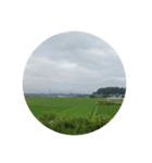 都会の方におすすめ！！田舎の風景 茨城編1（個別スタンプ：4）