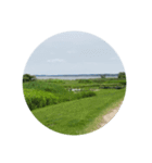 都会の方におすすめ！！田舎の風景 茨城編1（個別スタンプ：6）
