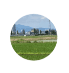 都会の方におすすめ！！田舎の風景 茨城編1（個別スタンプ：7）