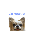 むぎとらんらん（個別スタンプ：6）