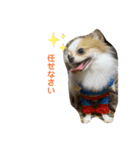 むぎとらんらん（個別スタンプ：7）