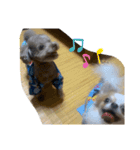 むぎとらんらん（個別スタンプ：14）