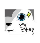 のほほん犬 あいのすけ（個別スタンプ：6）