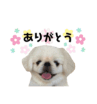 かわいい！ぽずスタンプ（個別スタンプ：4）