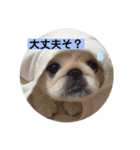 かわいい！ぽずスタンプ（個別スタンプ：10）