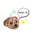 かわいい！ぽずスタンプ（個別スタンプ：16）