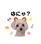 かわいい！ぽずスタンプ（個別スタンプ：20）