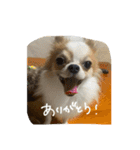 むぎとらんらん！（個別スタンプ：10）