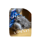 むぎとらんらん！（個別スタンプ：13）