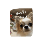 むぎとらんらん！（個別スタンプ：14）