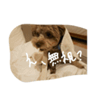 むぎとらんらん！（個別スタンプ：16）