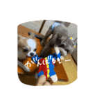 むぎとらんらん！（個別スタンプ：17）