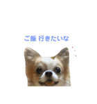 むぎとらんらん！（個別スタンプ：25）