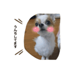 むぎとらんらん！（個別スタンプ：29）