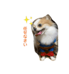 むぎとらんらん！（個別スタンプ：30）