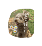 むぎとらんらん！（個別スタンプ：35）