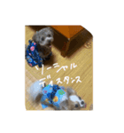 むぎとらんらん！（個別スタンプ：39）