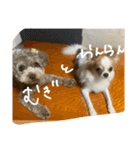 むぎとらんらん！（個別スタンプ：40）