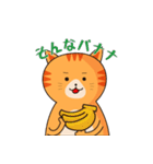 茶トラネコのダジャレスタンプ（個別スタンプ：24）