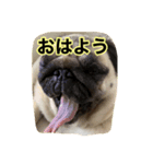 まる様。（個別スタンプ：2）