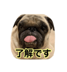 まる様。（個別スタンプ：3）