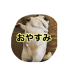 まる様。（個別スタンプ：4）
