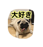 まる様。（個別スタンプ：5）