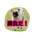 まる様。（個別スタンプ：6）