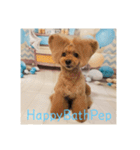 HappyBathPep（個別スタンプ：1）
