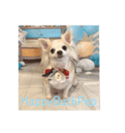 HappyBathPep（個別スタンプ：2）