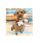 HappyBathPep（個別スタンプ：3）