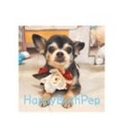 HappyBathPep（個別スタンプ：4）