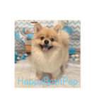 HappyBathPep（個別スタンプ：5）