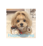 HappyBathPep（個別スタンプ：6）