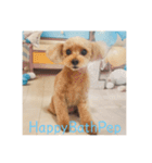 HappyBathPep（個別スタンプ：8）