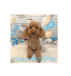 HappyBathPep（個別スタンプ：9）