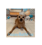 HappyBathPep（個別スタンプ：10）