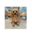 HappyBathPep（個別スタンプ：11）