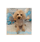 HappyBathPep（個別スタンプ：14）