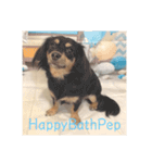 HappyBathPep（個別スタンプ：16）