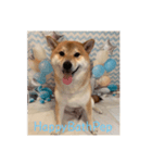 HappyBathPep（個別スタンプ：20）
