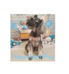 HappyBathPep（個別スタンプ：22）