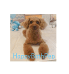 HappyBathPep（個別スタンプ：24）