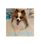 HappyBathPep（個別スタンプ：33）