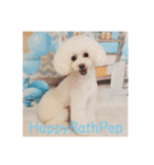 HappyBathPep（個別スタンプ：34）